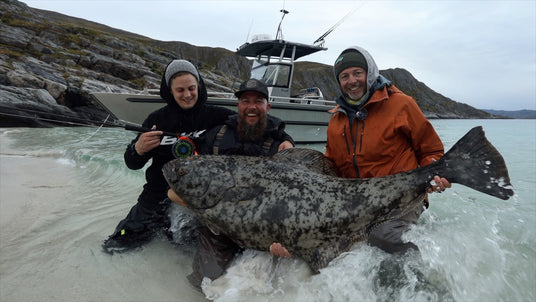 Flugfiske efter stor hälleflundra i Norge med Camp Halibut