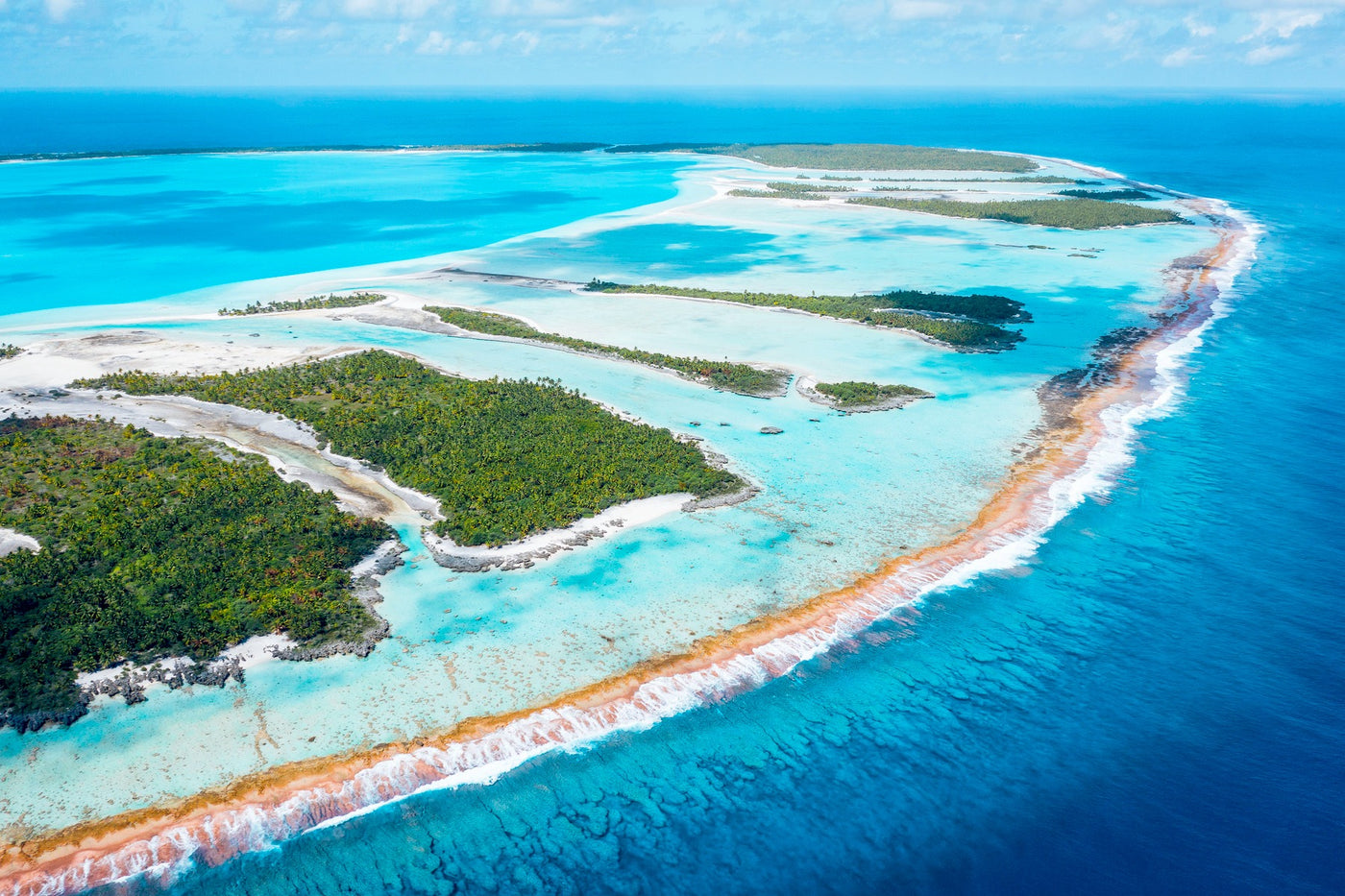 Palmer och strand på tropisk fiskeresa i Franska Polynesien