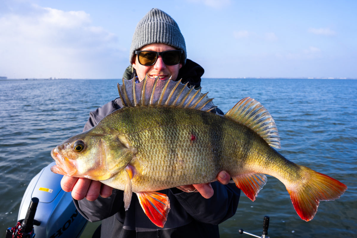 En leende sportfiskare med solglasögon och grå mössa håller en stor gulgrön fisk med orange fenor på en båt under blå himmel.