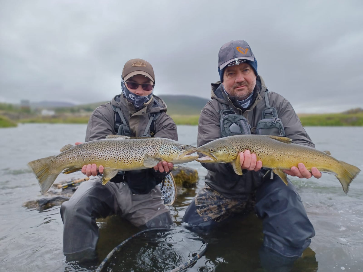 Flugfiskevatten på norra Island nära Akureyri