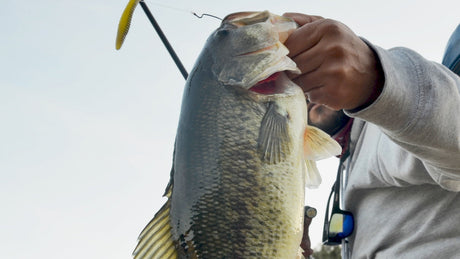 Sportfiskare håller en black bass i underkäken med spö och bete mot ljus himmel på Sardinien