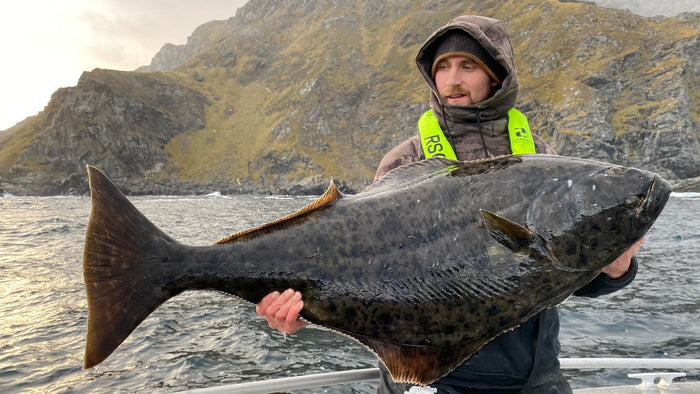 Flugfiske efter hälleflundra på grunt vatten runt Sørøya