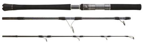 Hearty Rise SKYWALKER JIGGING SPIN. 1,63M 220G 3pc Resespön