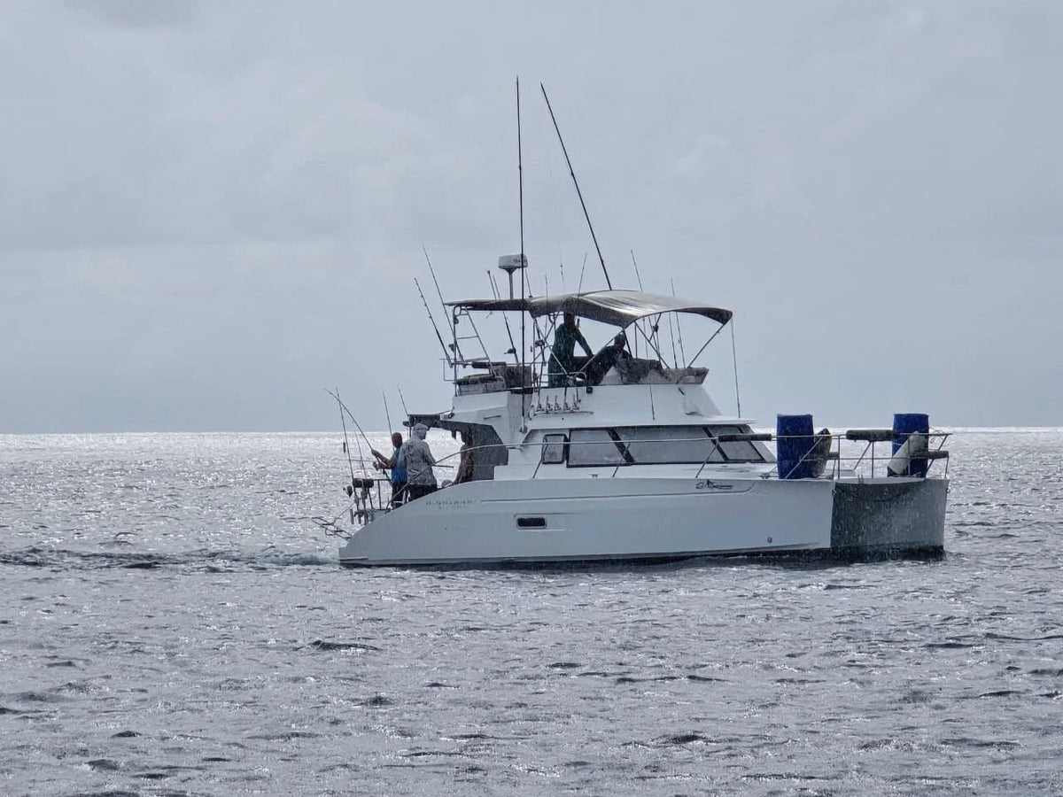 En vit katamaran med fiskespön glider fram på lugnt hav under en fiskeresa. Två sportfiskare syns ombord under molnig himmel.