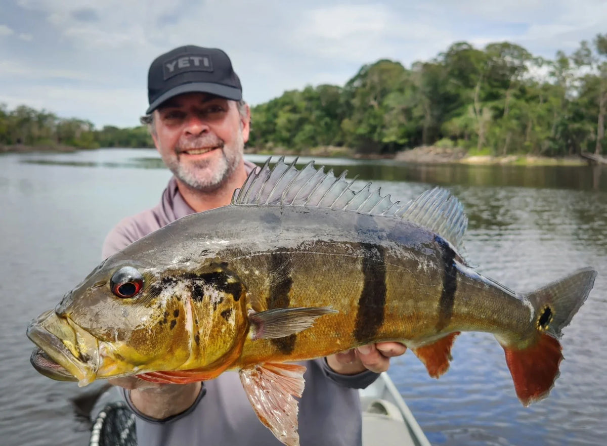 Leende sportfiskare med keps håller stor abborre med svarta ränder och orange fenor på båt under fiskeresa vid flod och träd.