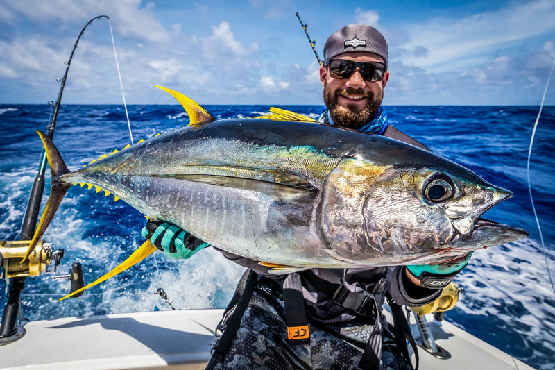 Stor yellowfin tuna lyft ombord under fiskeresa vid Hawkins Bank
